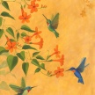 guan_hummingbird_vine_card