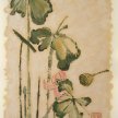 Title: Lotus Pond II Artist: Adam Guan Medium: Acrylic on Paper Image Number: FA 0008 AG Size: 18 x 24