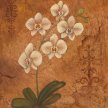 Title: Orchid Fresco II Artist: Adam Guan Medium: Acrylic on Canvas Image Number: FA 0412 AG Size: 16 x 20