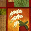 guan_orchid_window_mate-5x7