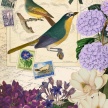 Title: Bird Botanical II 
Artist: Studio Voltaire 
Medium: Digital 
Image Number:BT 0325 SV 
Size: 16 x 20