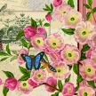 
	Title: Cherry Blossom Botanical II
	Artist: Studio Voltaire
	Medium: Digital
	Image Number: BT 0253 SV
	Size: 16 x 20
