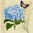 Title: Fresh Botanical I Artist: Studio Voltaire Medium: Digital Image Number: BT 0276 SV Size: 16 x 16