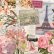 Title: Paris Botanical I
Artist: Studio Voltaire 
Medium: Digital 
Image Number: BT 0318 SV 
Size: 16 x 20