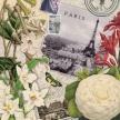 Title: Paris White Flower Botanical I
Artist: Studio Voltaire 
Medium: Digital 
Image Number: BT 0320 SV 
Size: 16 x 20