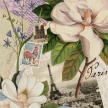 Title: Paris White Flower Botanical II
Artist: Studio Voltaire 
Medium: Digital 
Image Number: BT 0321 SV 
Size: 16 x 20