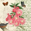 Title:  Botanical Almond Artist: Studio Voltaire  Medium: Digital  Image Number: BT 0272 SV Size: 16 x 16