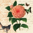 Title:  Scroll Botanical Camellia Artist: Studio Voltaire  Medium: Digital  Image Number: BT 0275 SV Size: 16 x 16