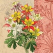 
	Title: Woodcut Botanical I
	Artist: Studio Voltaire
	Medium: Digital
	Image Number: BT 0268 SV
	Size: 16 x 16
