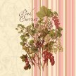 aroma_pink_currant