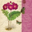 
	Title: Bookmark Botanical - Primrose
	Artist: Studio Voltaire
	Medium: Digital
	Image Number: BT 0262 SV
	Size: 20 x 20
