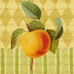 Title: Botanical Apple Artist: Studio Voltaire Medium: DigitalImage Number: BT 0001 SV Size: 12 x 15
