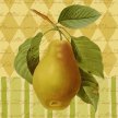 Title: Botanical Pear Artist: Studio Voltaire Medium: DigitalImage Number: BT 0003 SV Size: 12 x 15