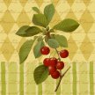 Title: Botanical Cherries Artist: Studio Voltaire Medium: DigitalImage Number: BT 0004 SV Size: 11 x 14