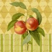 Title: Botanical Peach Artist: Studio Voltaire Medium: DigitalImage Number: BT 0006 SV Size: 11 x 14