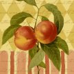 botanical_fruit_cards_peach