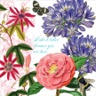 Title: Botanical Inspirations I
Artist: Studio Voltaire
Medium: Digital
Image Number: BT 0338 SV
Size: 16 x 16
