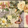 
	Title: Botanical Postcard I
	Artist: Studio Voltaire
	Medium: Digital
	Image Number: BT 0266 SV
	Size: 20 x 20
