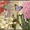 
	Title: Botanical Postcard II
	Artist: Studio Voltaire
	Medium: Digital
	Image Number: BT 0267 SV
	Size: 20 x 20
