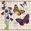 Title: Butterfly Botanical I  Artist: Studio Voltaire  Medium: Digital Image Number: BT 0308 SV Size: 20 x 20