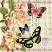 Title: Butterfly Botanical III Artist: Studio Voltaire Medium: DigitalImage Number: BT 0310 SVSize: 20 x 20