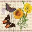 Title: Butterfly Botanical IV Artist: Studio Voltaire Medium: DigitalImage Number: BT 0311 SVSize: 20 x 20