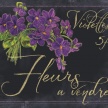 
	Title: Chalkboard Marche aux Fleurs - Violets
	Artist: Studio Voltaire
	Medium: Mixed Media
	Image Number: BT 0243 SV
	Size: 16 x 20

