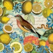 Title: Citrus Garden Lemon
Artist: Studio Voltaire
Medium:  Digital 
Image Number: BT 0332 SV
Size: 16 x 20