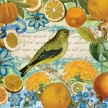 Title: Citrus Garden Orange
Artist: Studio Voltaire
Medium:  Digital 
Image Number: BT 0333 SV
Size: 16 x 20