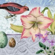 
	Title: Easter Lily Botanical II
	Artist: Studio Voltaire
	Medium: Digital 
	Image Number: BT 0241 SV 
	Size: 16 x 20
