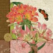 Title:  Exotic Floral Botanical I Artist: Studio VoltaireMedium:  DigitalImage Number: BT 0230 SVSize: 16 x 16
 
 