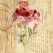 french_country_botanical01