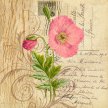 french_country_botanical02