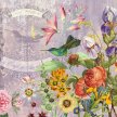 Title: Hummingbird Garden I Artist: Studio VoltaireMedium: DigitalImage Number: BT 0213 SVSize: 16 x 20