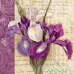 Title: Iris Botanical I Artist: Studio Voltaire Medium: Digital Image Number: BT 0193 SV Size: 16 x 20