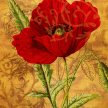 Title: Botanical Poppy Flower  Artist: Studio Voltaire  Medium: Digital Image Number: BT 0039 SV  Size: 22 x 28 
