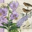 Title:   Lilac Love Botanical IArtist: Studio VoltaireMedium:  DigitalImage Number:BT 0226 SV Size: 16 x 16