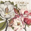 Title:&nbsp;Magnolia Botanical IIArtist:&nbsp;Studio VoltaireMedium:&nbsp;Digital&nbsp;Image Number:&nbsp;BT 0365 SVSize: 20 x 20