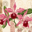 Title: Orchid Poetry III
Artist: Studio Voltaire 
Medium: Digital 
Image Number: BT 0330 SV 
Size: 16 x 20