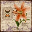 Title: Peach Floral Botanical IArtist: Studio VoltaireMedium: DigitalImage Number: BT 0191 SVSize: 20 x 20