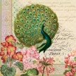 Title:&nbsp;Peacock Amor I Artist: Studio Voltaire&nbsp;Medium:&nbsp;Digital Image Number: GR 2088 SV Size: 16 x 16