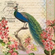 Title:&nbsp;Peacock Amor IIArtist: Studio Voltaire&nbsp;Medium:&nbsp;Digital&nbsp;Image Number: GR 2089 SV&nbsp;Size: 16 x 16