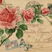 Title: Rose Postcard Botanical IArtist: Studio VoltaireMedium: DigitalImage Number: BT 0184 SVSize: 16 x 20