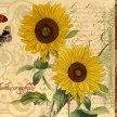 Title: Sienna SunflowerArtist: Studio VoltaireMedium: DigitalImage Number: BT 0165 SV Size: 16 x 20