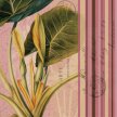 Title: Striped Botanical - Arum Lily Artist: Studio Voltaire Medium: DigitalImage Number: BT 0058 SV Size: 12 x 12