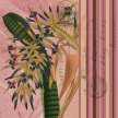 Title: Striped Botanical - Bromeliad I Artist: Studio Voltaire Medium: DigitalImage Number: BT 0065 SV