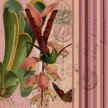 Title: Striped Botanical - Bromeliad II Artist: Studio Voltaire Medium: DigitalImage Number: BT 0066 SV