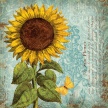 Title: Sunflower Damask IArtist: Studio VoltaireMedium: DigitalImage Number: BT 0302 SVSize: 16 x 16