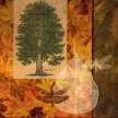 Title: Tree & Leaf Collage I Artist: Studio Voltaire Medium: DigitalImage Number: BT 0075 SV Size: 16 x 20