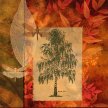 Title: Tree & Leaf Collage II Artist: Studio Voltaire Medium: Digital Image Number: BT 0076 SV Size: 16 x 20